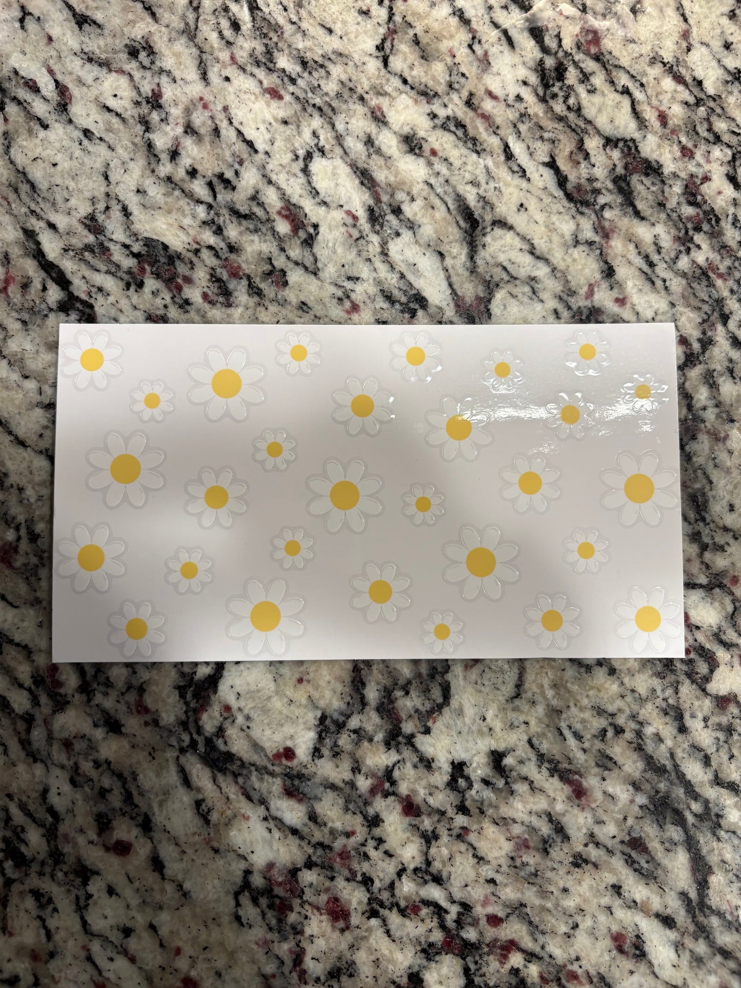 #8 Daisy