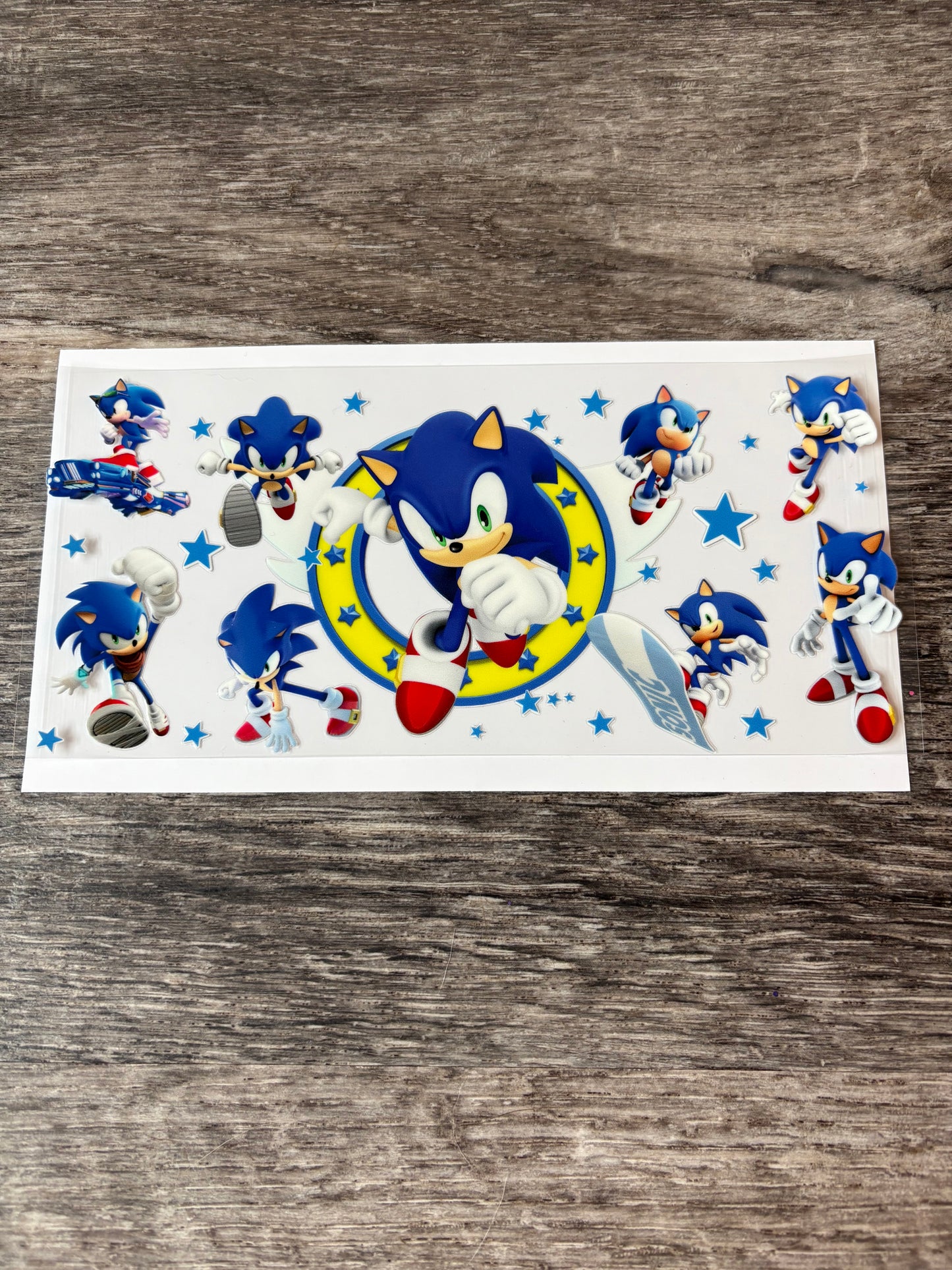 27a: Sonic the Hedgehog