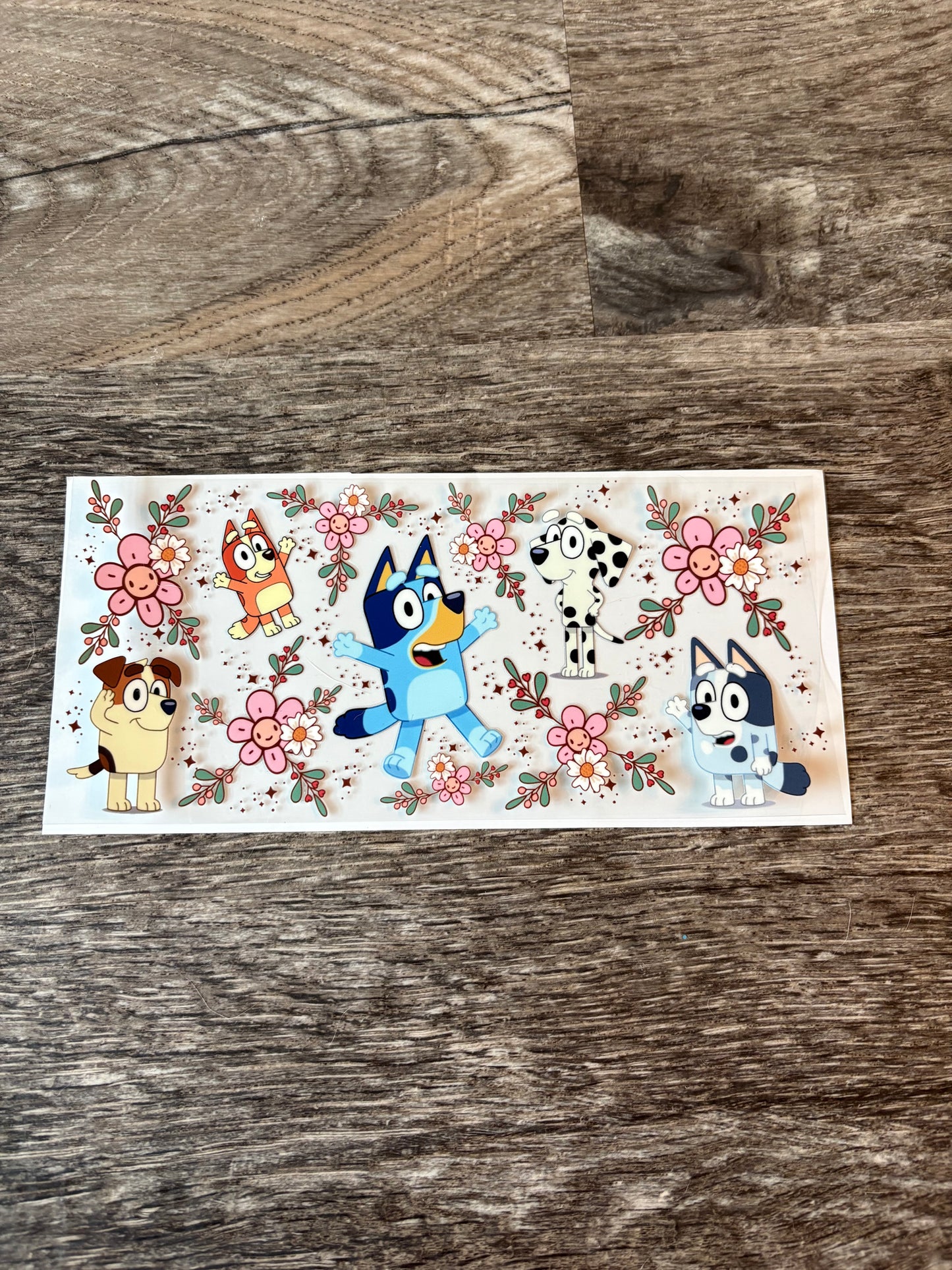 #232 Bluey and Friends