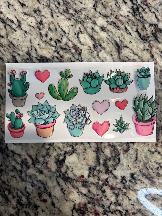 #118 Succulents