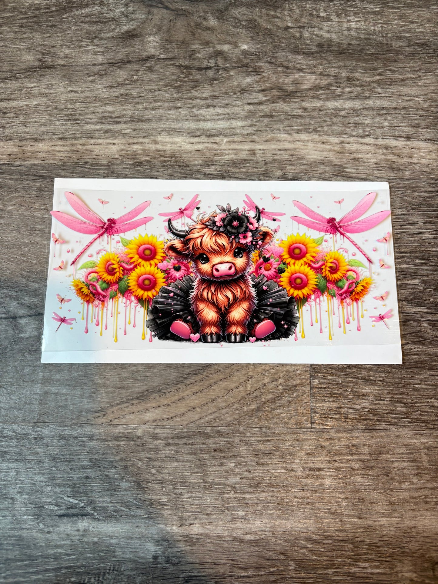 54a: Highland Cow Pink with Dragonflies