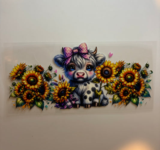 #48 Highland Cow