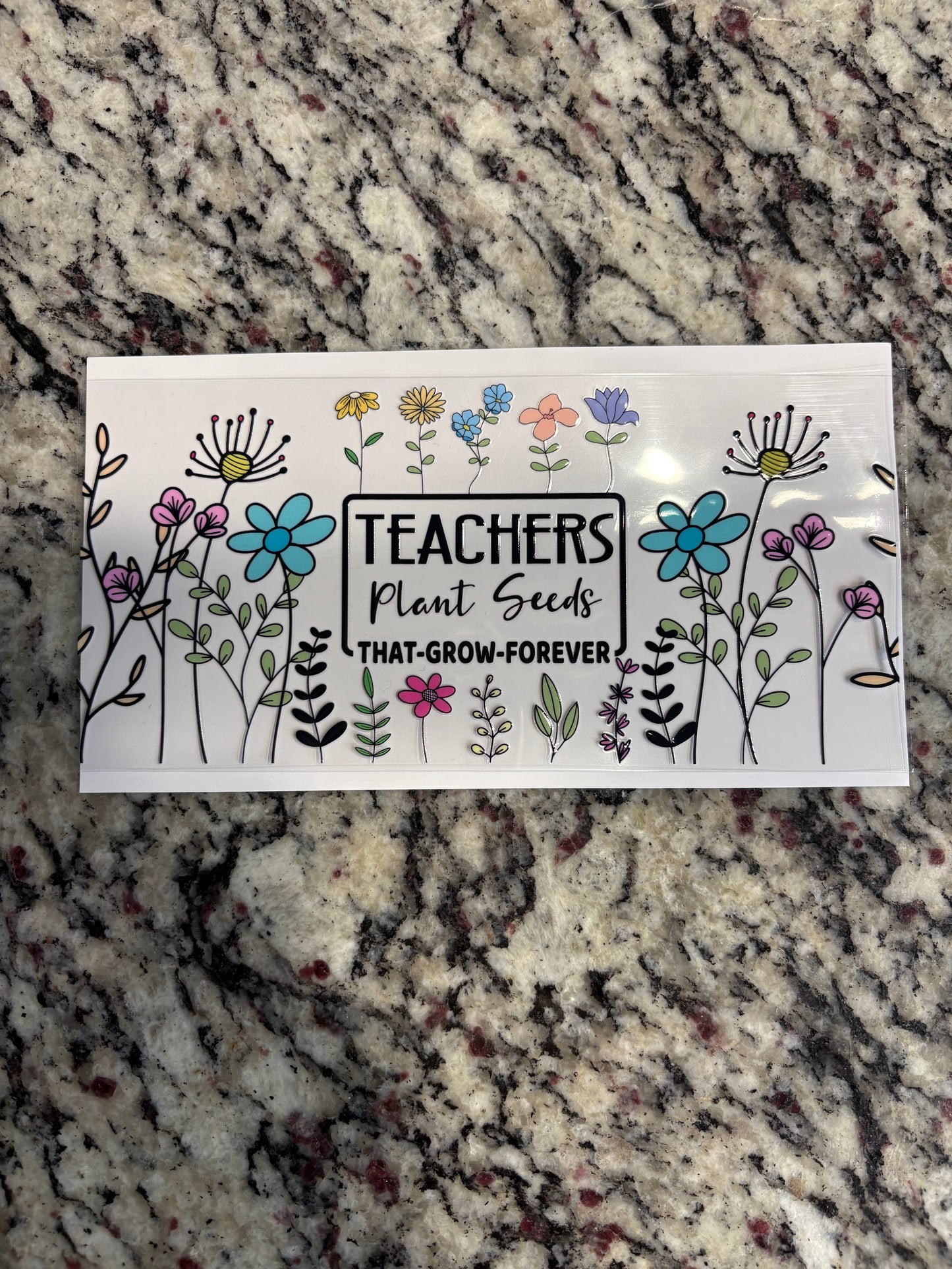 #81 Teachers Plant Seeds